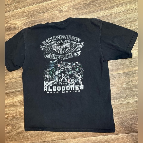 Harley Davidson Baja Mexico Motorcycle Shirt Large Unisex - Picture 1 of 4